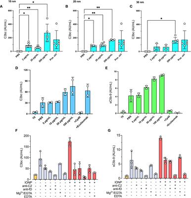 In vitro evaluation of iron oxide nanoparticle-induced thromboinflammatory response using a combined human whole blood and endothelial cell model